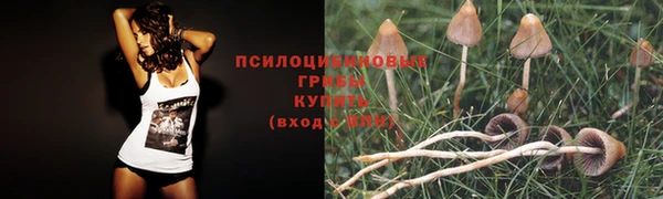 гашик Лабытнанги