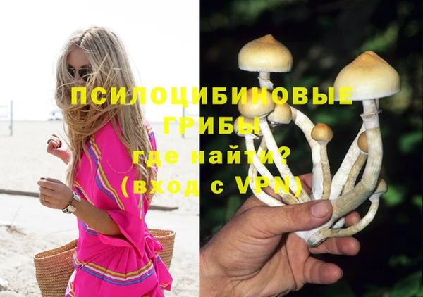 хмурый Лагань