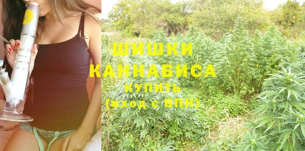 PSILOCYBIN Ладушкин