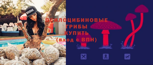 гашик Лабытнанги