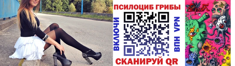 Купить закладки  Бийск  Галлюциногенные грибы MAGIC MUSHROOMS 